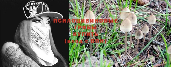 МДПВ Абдулино