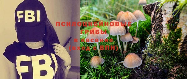 дмт Абаза